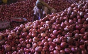 Union Government Imports Onion to Reduce the Price-Latest Live Tamil News Today