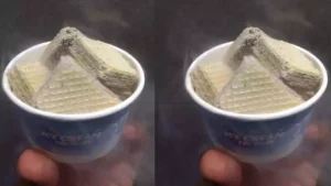 Smoke Biscuit